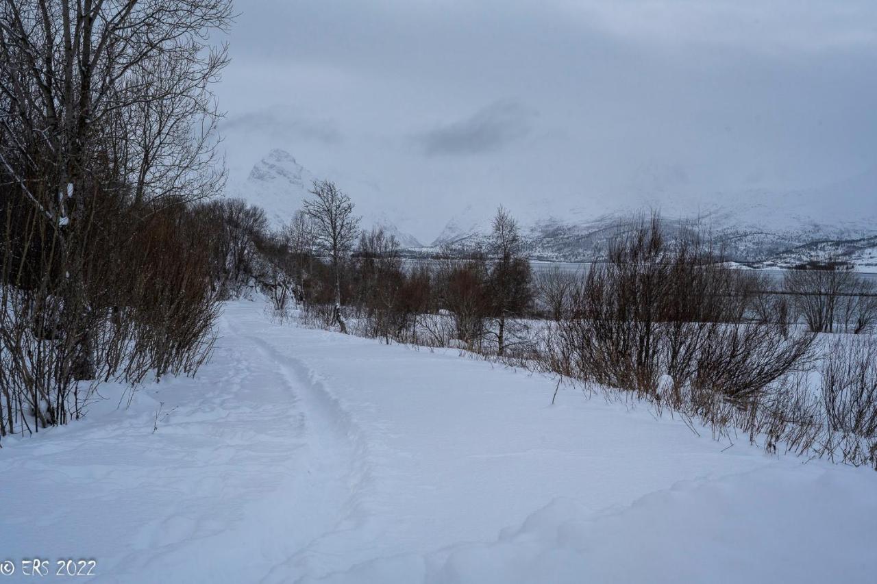 Arctic Panorama House Casa vacanze
